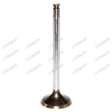 VENTIL GLAVE IZDUVNI,-1