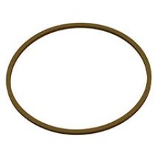 KARIKA KLIPA U MOKROM KVAČILU-1