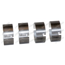 LEŽAJ RADILICE LETEĆI,-1