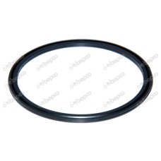 GUMICA U MOKROM KVAČILU-1