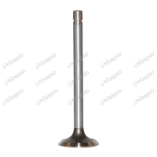 VENTIL GLAVE IZDUVNI,-1