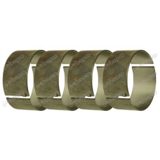 LEŽAJ RADILICE LETEĆI,-1